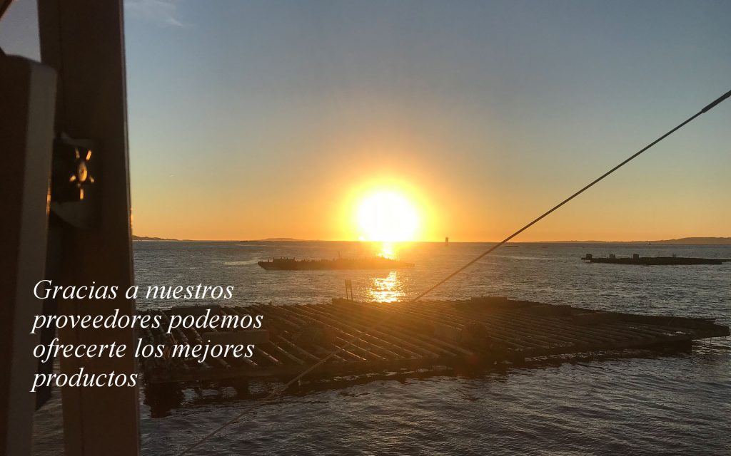 Atardecer