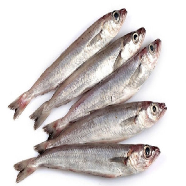 Bacaladilla
