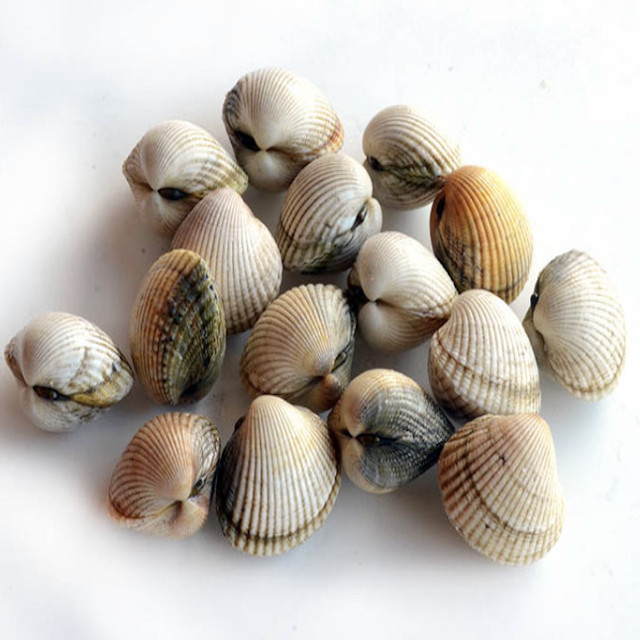Berberechos