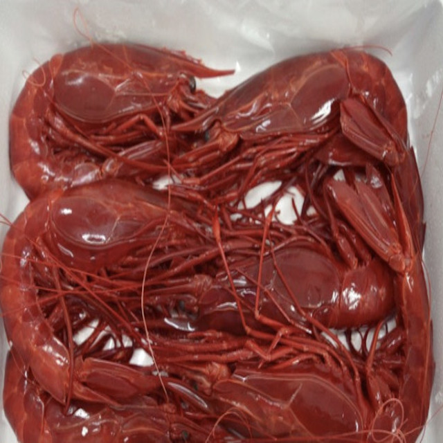Carabineros