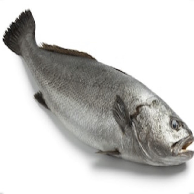 Corvina.