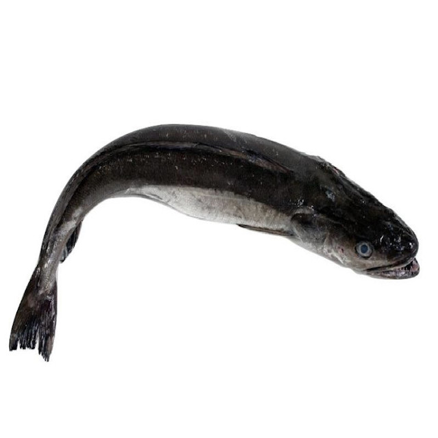 Merluza entera