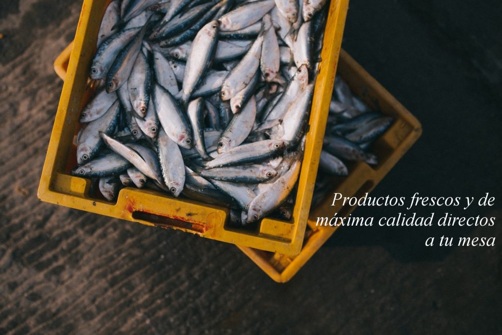 Productos