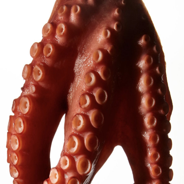 Pulpo cocido