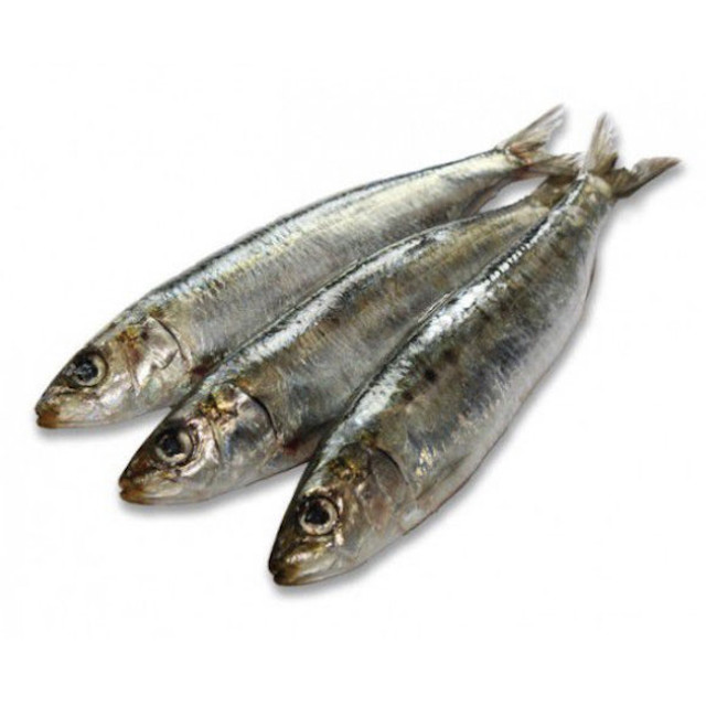 Sardinas