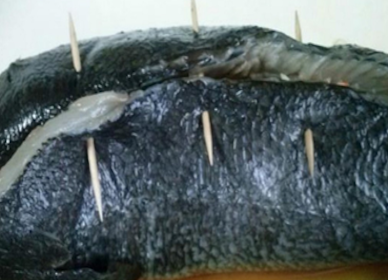 Corvina rellena de marisco